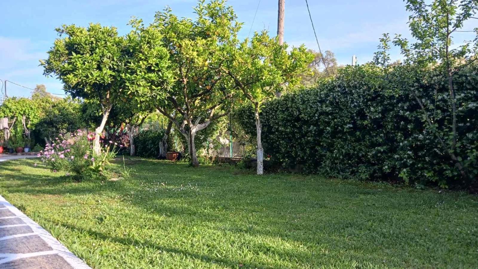 Villa Ioannidis Parga Bagian luar foto
