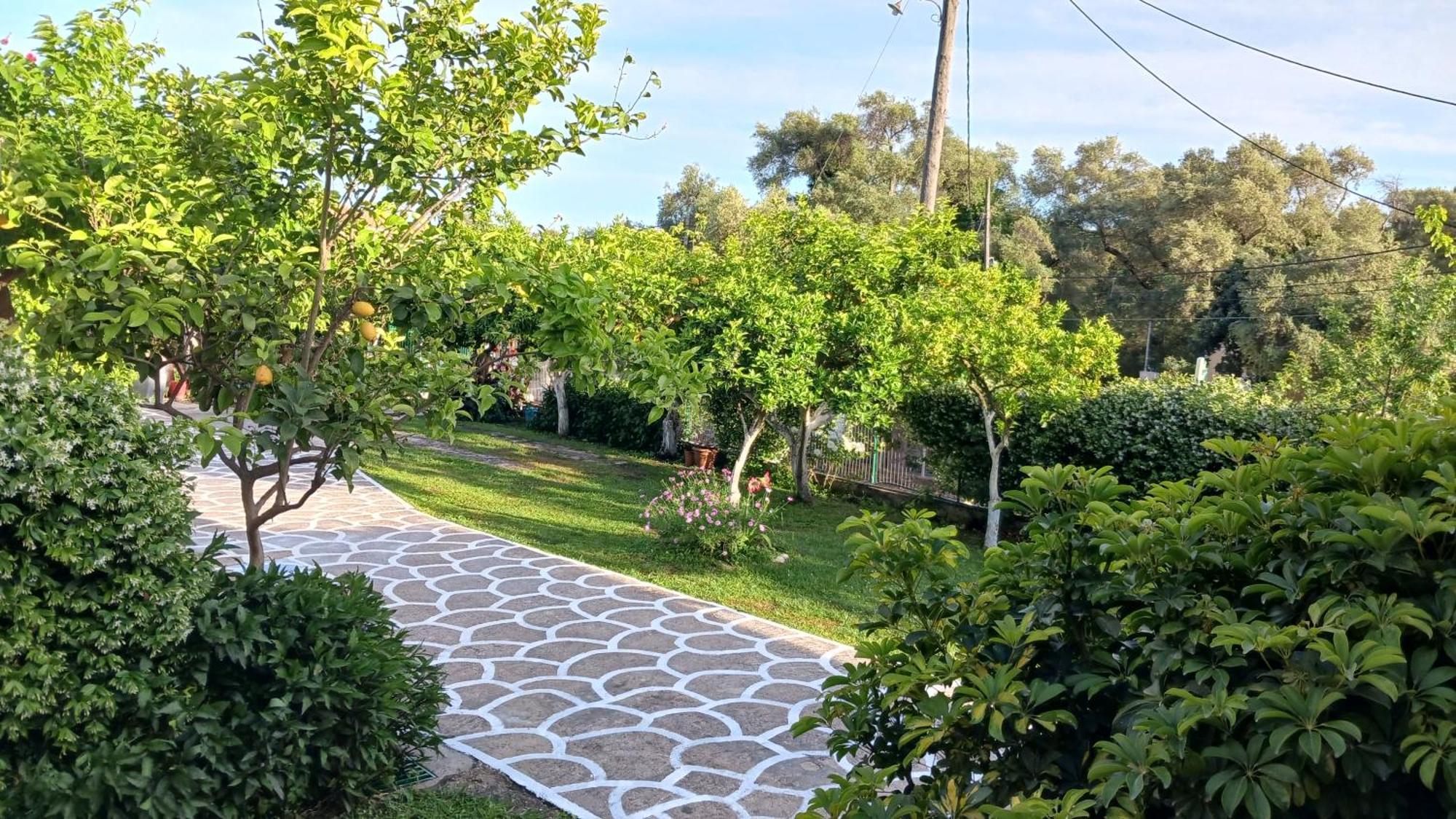 Villa Ioannidis Parga Bagian luar foto