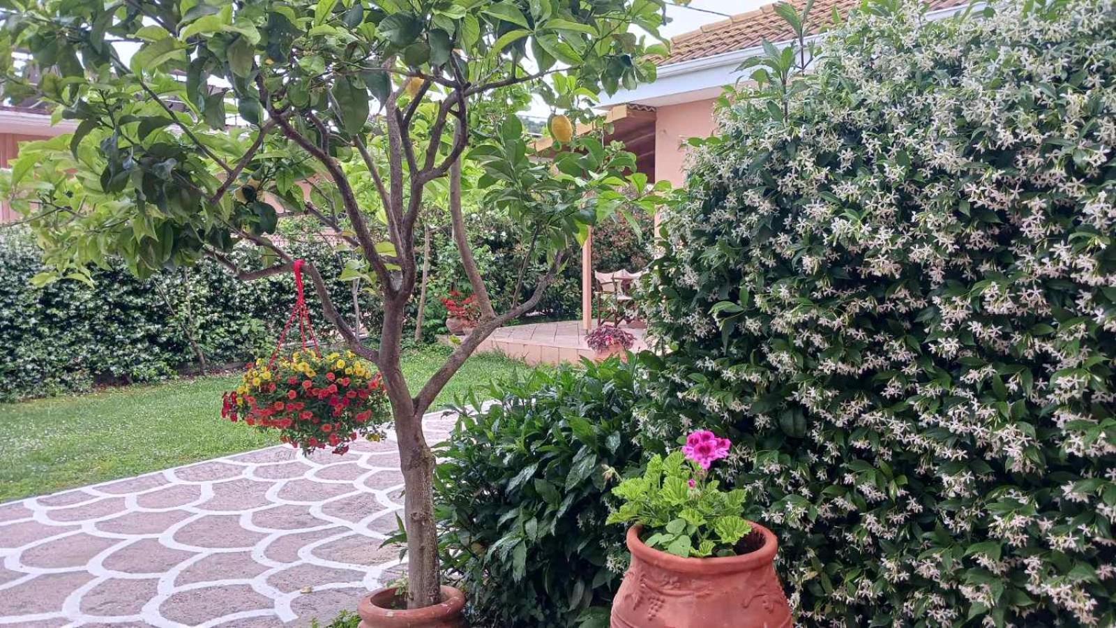 Villa Ioannidis Parga Bagian luar foto